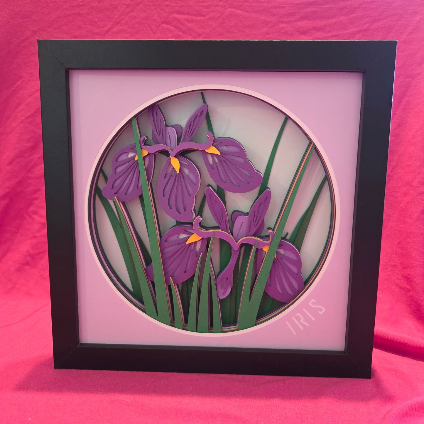 Iris Shadow Box