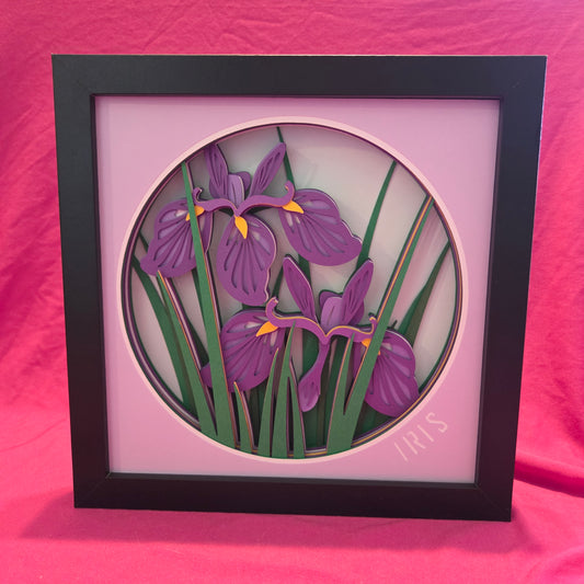 Iris Shadow Box